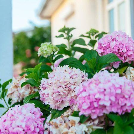 Apartments Paradise Ούλτσιν Εξωτερικό φωτογραφία